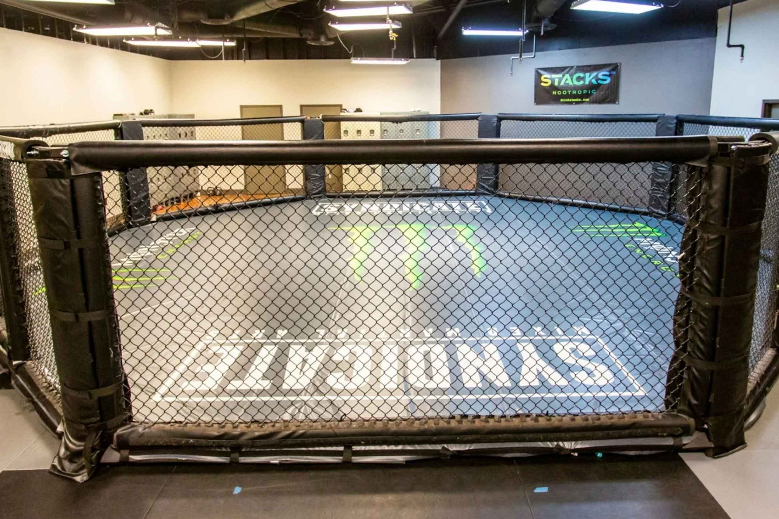 syndicate mma gym las vegas