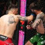 Alex Perez demolishes Matheus Nicolau with brutal one-punch knockout at UFC Vegas 91
